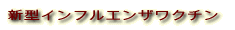 �V�^�C���t���G���U���N�`��